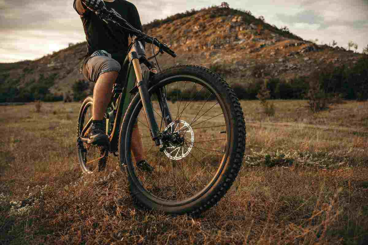 e-bike nel prato