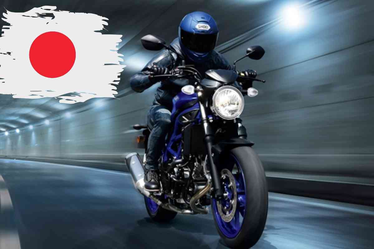 suzuki giappone naked
